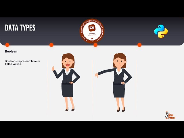 PCEP-019: Numeric Data Types in Python