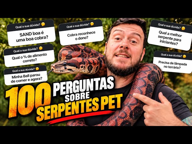 QUESTIONS ABOUT PET SNAKES !!!