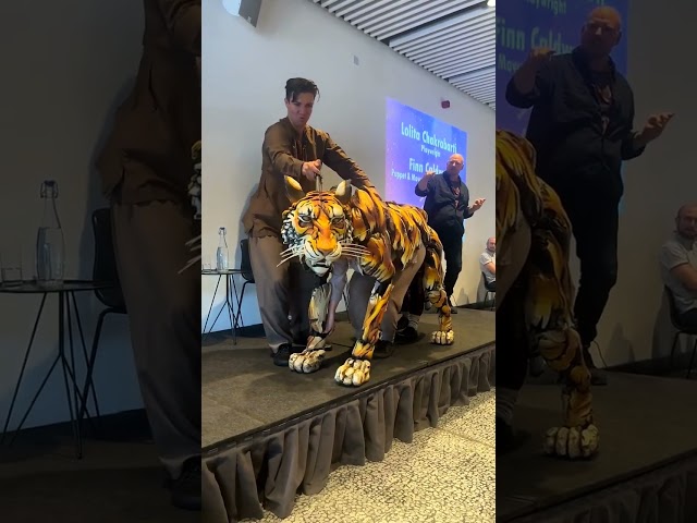 | Tiger in front of Audience | Puppet Movement #tiger #puppets