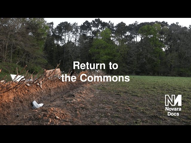 Return to the Commons