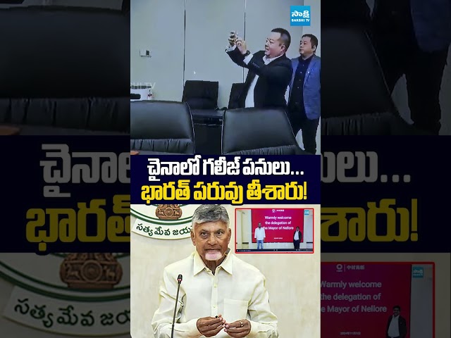 చైనాలో గలీజ్ పనులు #vemireddyprabhakarreddy #chandrababu #anilkumaryadav #ysrcp #ytshorts #sakshitv