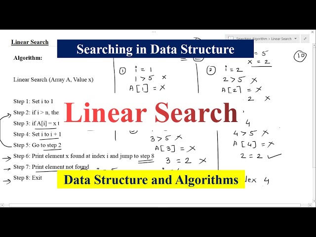 Linear Search Algorithm Explained | Step-by-Step Tutorial with Examples