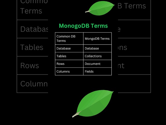 MongoDB Terms vs. General Database Terms! 🚀 | Quick Guide