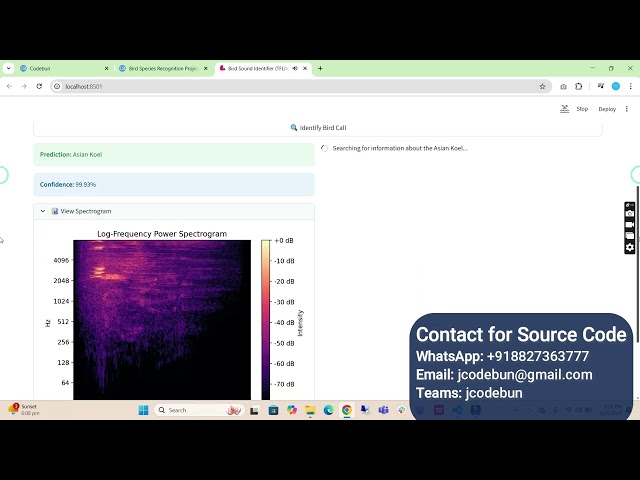 AI Bird Species Recognition Project using Python, Deep Learning, CNN, BirdCLEF Dataset