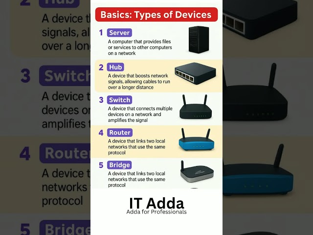 Basics of Networking Devices | Server, Hub, Switch, Router, Bridge Explained | IT Adda