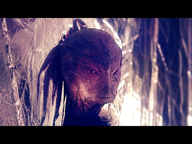 15 Unsolved Alien Mysteries That Cannot Be Explained