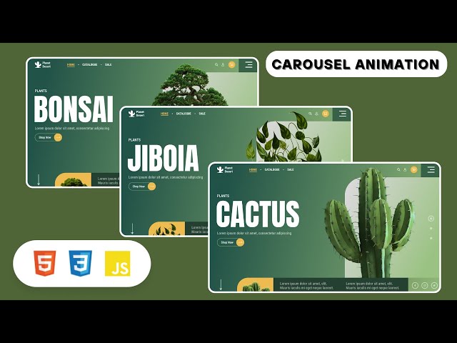 How To Create A Vertical  Slider Effects Using HTML CSS And JavaScript