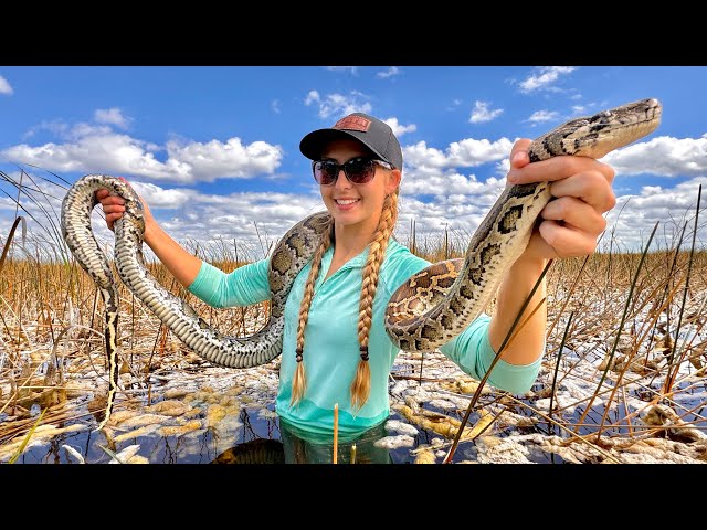 Hand Catching 12 Foot Python in the Wild & Fish Fry off the AIRBOAT (Everglades)