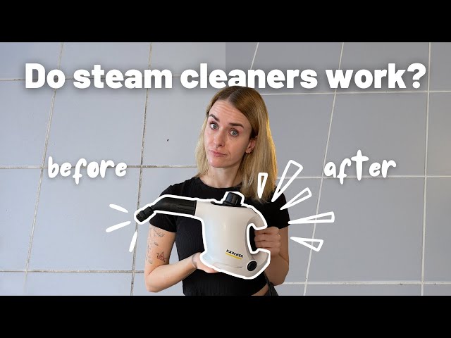 Karcher Steam Cleaner Review | Do you really need it? 🤔