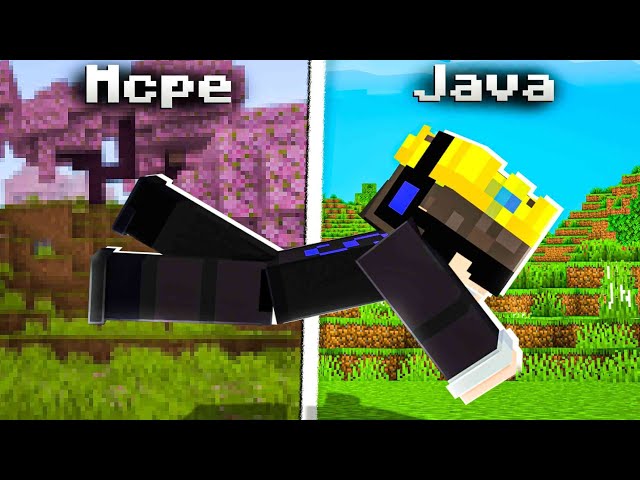 I Finally Played Java Edition !!! 