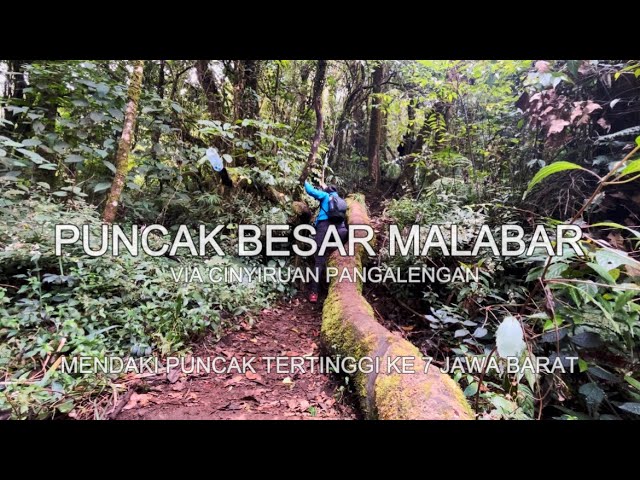 PENDAKIAN GUNUNG MALABAR - Mengejar Puncak Tertinggi ke 7 Jawa Barat