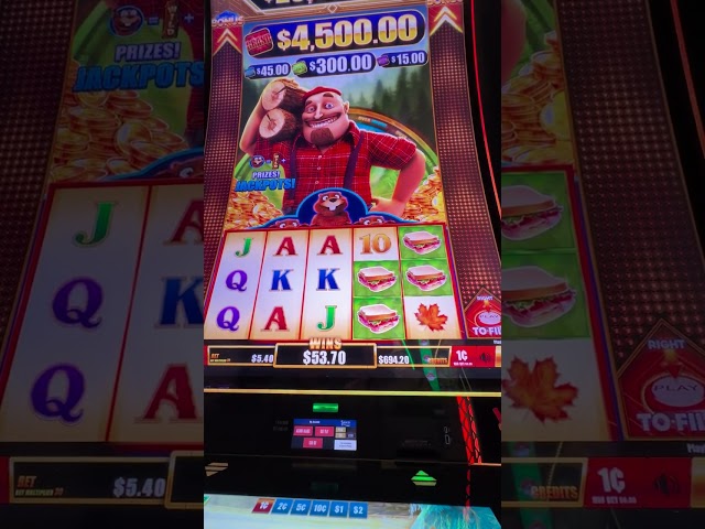 Timber Jack Jumbo took us on a WILD ride for almost an hour!!!