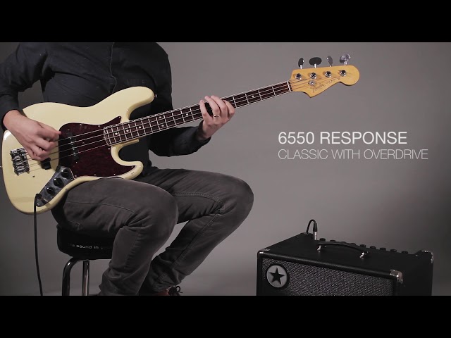 Blackstar UNITY PRO BASS SYSTEM - 6550 Response, Classic Voice with Overdrive - The New Face of Bass