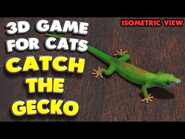 Cat TV | Catch the Gecko (Isometric) | 10 Hours | 4K 60 FPS