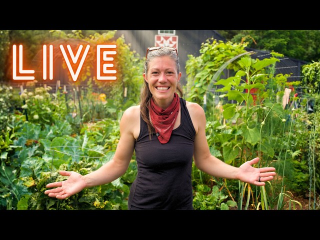We're BACK! Lazy Gardening LIVE Q&A: Your Questions Answered! | August AOAT Livestream