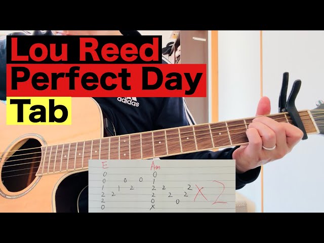 【Tab】 Lou Reed / Perfect Day / Acoustic Tutorial