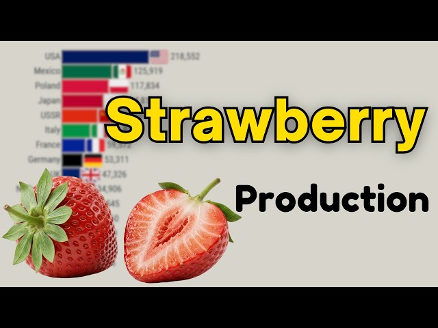 Top 15 Largest Strawberry Producing Countries 1961–2026