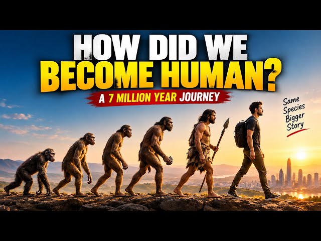 The Human Odyssey Journey Through Evolution 