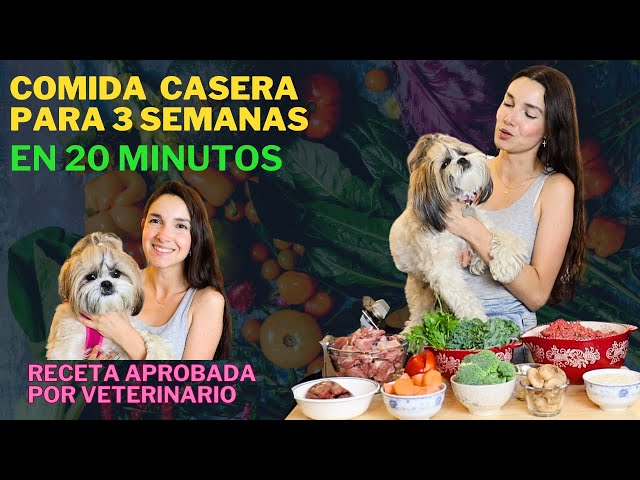 HOMEMADE DOG FOOD | Meal Prep 3 weeks in 20 minutes! | Es con Acento