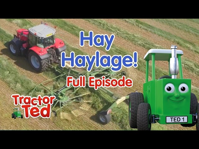 Hay Haylage | Tractor Ted Full Episode | Farm Animals & Tractors For Kids