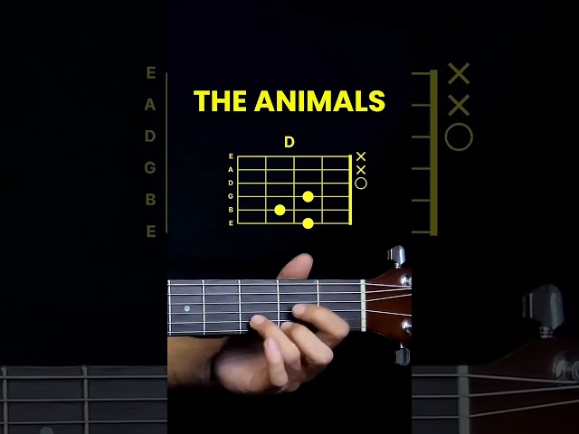 The Animals - House Of The Rising Sun Guitar Lesson #strumly #guitarcover #guitar #guitartutorial