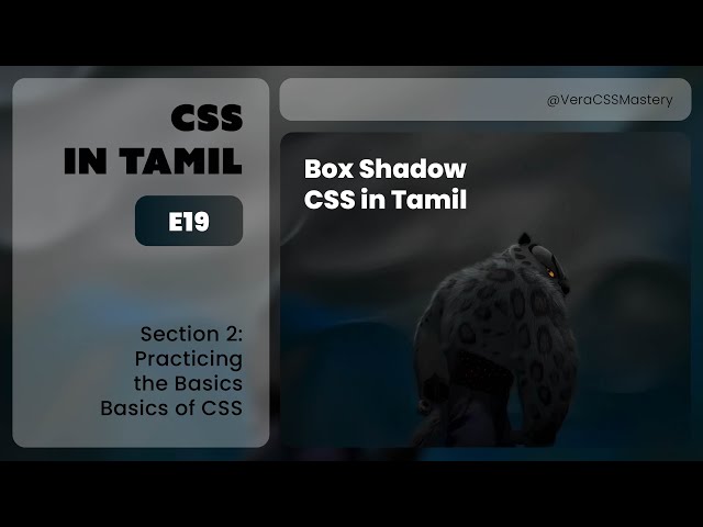 E19: Box Shadow | Practicing the Basics | CSS In Tamil