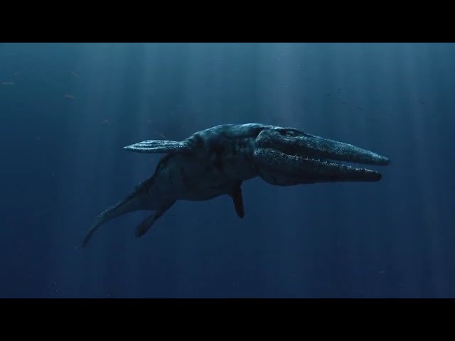 National Geographic - Prehistoric Sea Monsters  - Dinosaur Documentary
