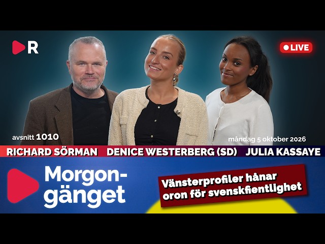 Morgongänget: Vänsterprofiler hånar offren för svenskfientlighet