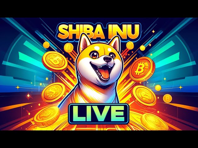 Shiba Inu Live