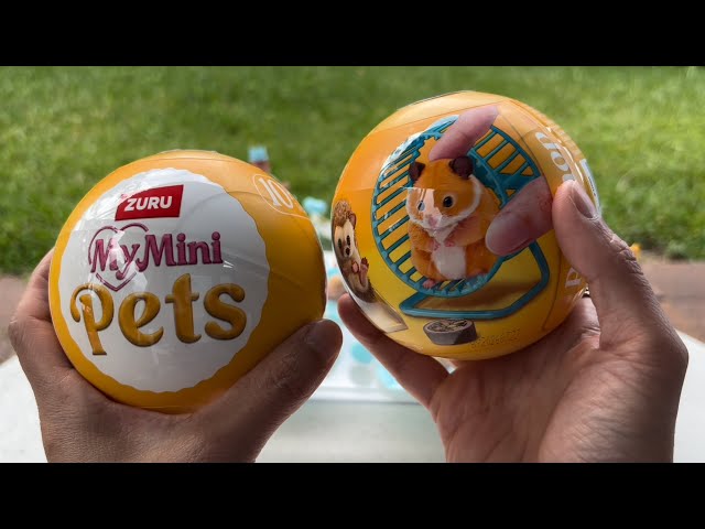 Realistic! MY MINI PETS Capsules Series 1 💛✨🐰 @ZuruToys  Unboxing [ASMR]