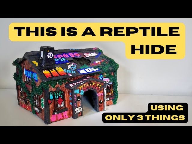 DIY Reptile Hide | FULL PROCESS