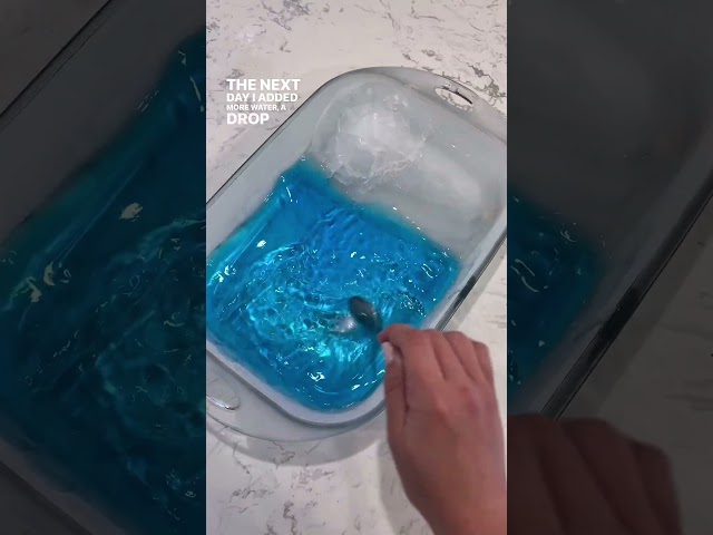 Need a fun activity this week? Try this!🧊 ICEBERGS 🧊