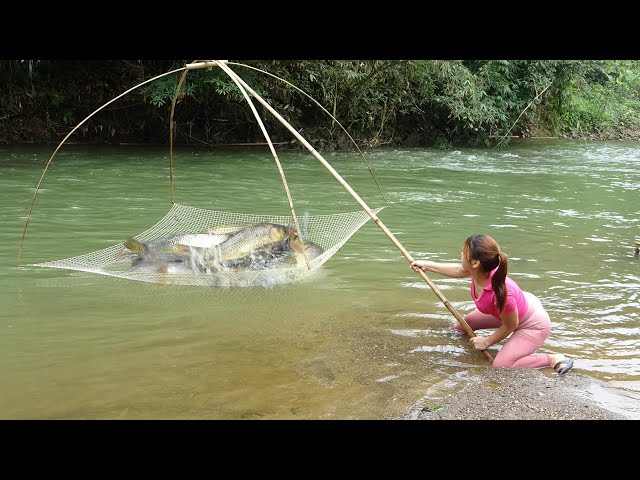 Fishing Techniques, Traditional Fishing, Survival Fishing, Catch Big Fish in River