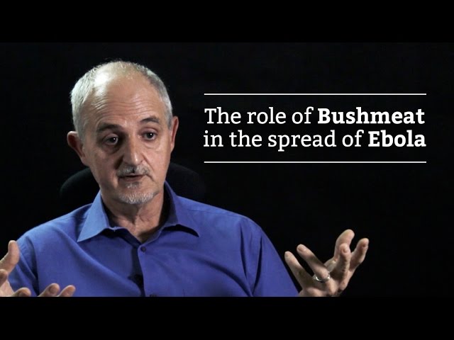 Robert Nasi - The role of Bushmeat in the spread of Ebola
