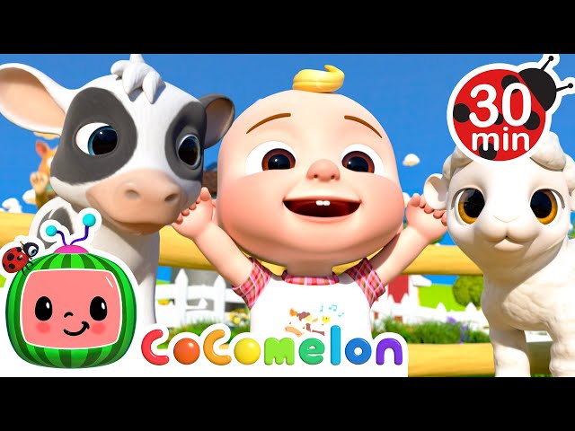 Ol' MacDonald's baby Animals 🐮 30 MIN LOOP|  Karaoke Nursery Rhymes & Kids Songs - CoComelon