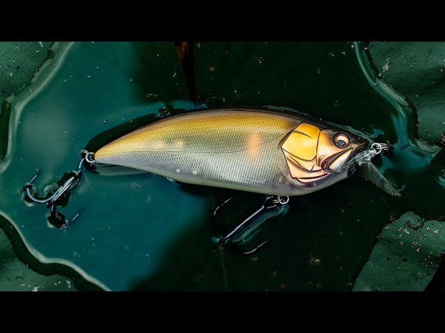 Megabass Big M 2.0 Crankbait