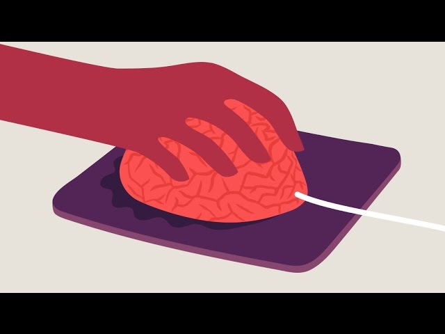 Can Technology Help Us Learn Better?