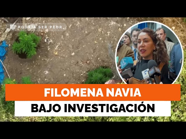 Not the first time? Councilwoman on the controversial audio of La Cruz's mayor