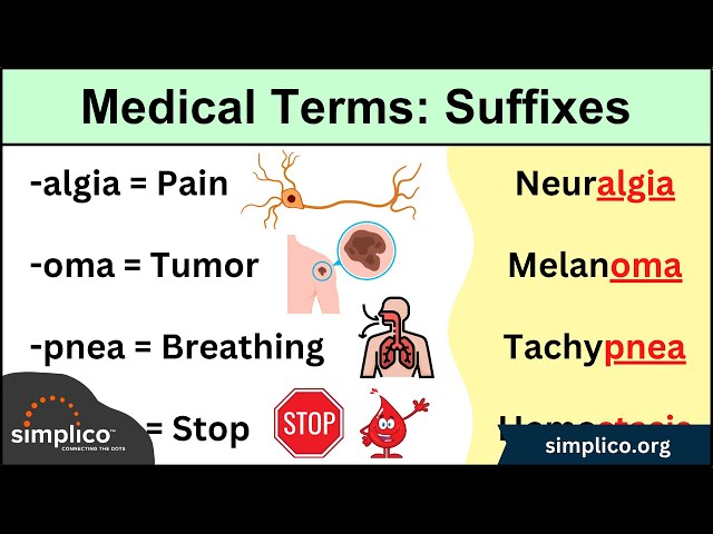 Medical Terminology: Suffixes MADE EASY [Nursing, Students, Coding]