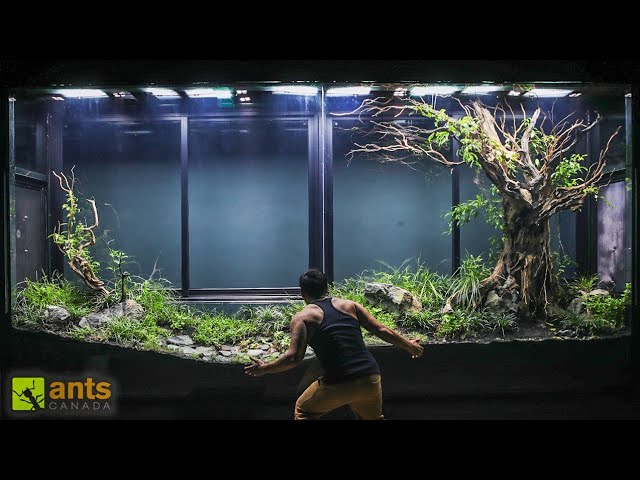 The Insane Creatures I Found in My Giant Grassland Vivarium