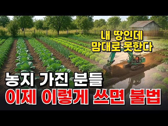 2026년 농지법, 이거 모르고 농지 건드리면 큰일 납니다｜귀농·귀촌·농지 가진 분들 필수 #2026년농지법 #농지제도 #농지법 #농지제도개편 #농지법개정