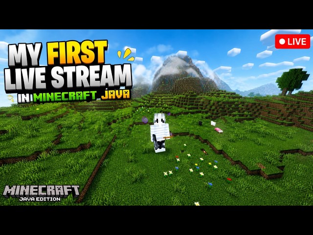 second time minecraft java play#