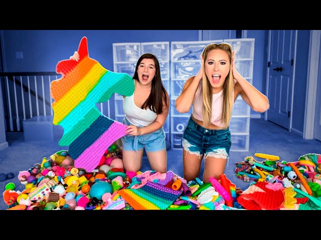 Organizing PurpleStar02’s HUGE Fidget Collection!!!