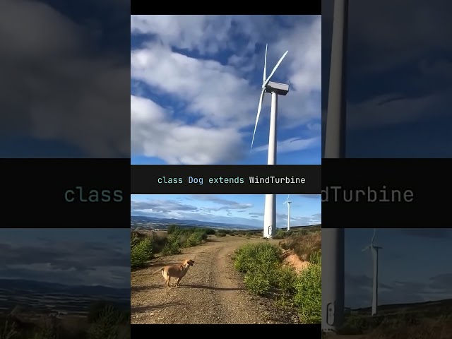 object oriented dawg #programming #coding #developer