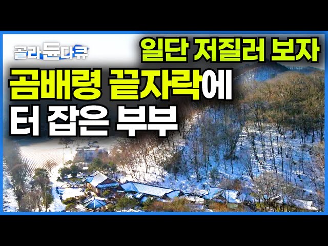 더 이상 길도 없는데...바로 여기다 집부터 지은 귀촌 부부ㅣ여행 프로그램에서 봤던 그대로 이국적인 집 짓고 사는 사람ㅣ한국기행│#골라듄다큐
