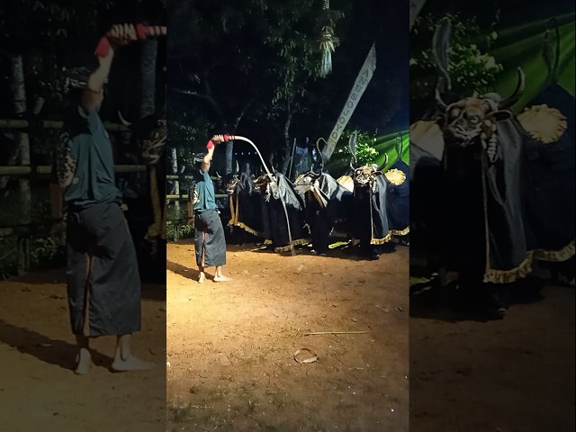 SATRIO LEMBU GUMARANG On Javanese TV | #short #seni #budaya #carnaval #sports #trip #subscribe