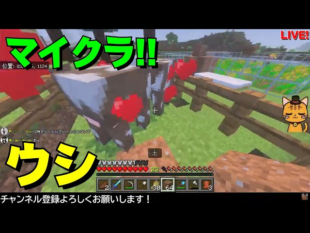 GaSのマイクラLIVE！