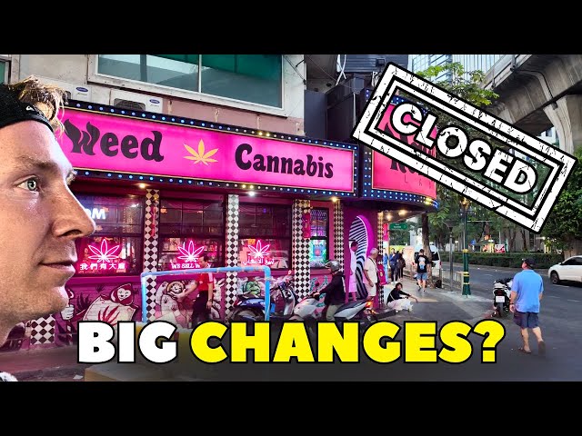 Cannabis in Thailand - New Rules in 2026?