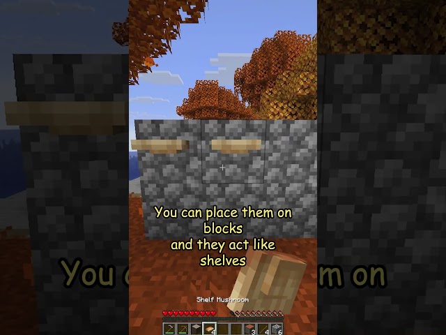 Shelf Mushrooms and what they do in Minecraft tutorial
