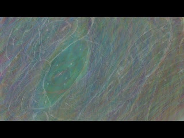 Mirror of True Sense